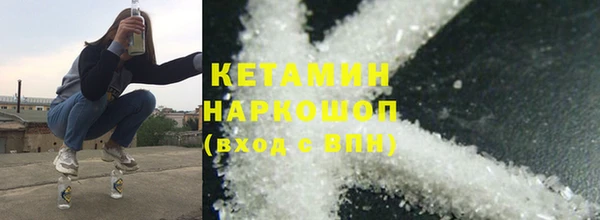 ПСИЛОЦИБИНОВЫЕ ГРИБЫ Михайлов