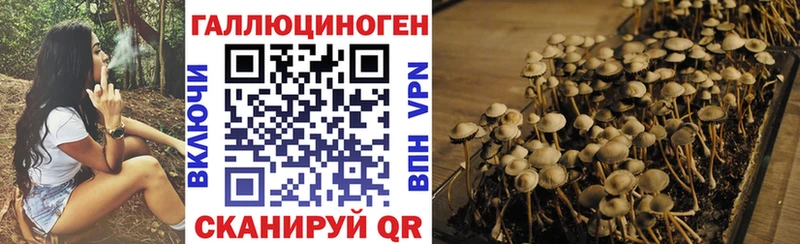наркота  kraken ссылки  Галлюциногенные грибы Magic Shrooms  Пятигорск 